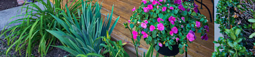 Residence_Patio_Brookdale Apartments in Henrico VA