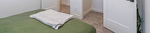 a bedroom with a bed and a closet