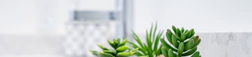 Three succulent plants in concrete pots are placed on a white countertop.