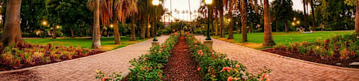 A pathway with a row of palm trees on either side.