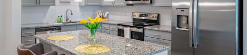 Chef-Inspired Kitchen