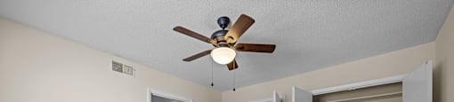 Lighted Ceiling Fan at Raleigh Rentals, North Carolina, 27604