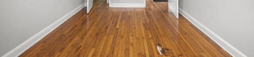 A room with a ceiling fan and wooden floors. at Raleigh Rentals, North Carolina, 27604