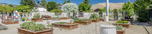 Community Garden 2