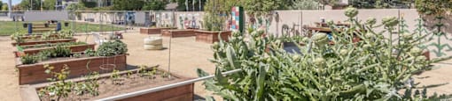 Community Garden