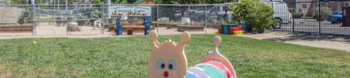 Dog Park
