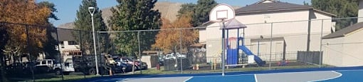 Renovated Sportcourt 2
