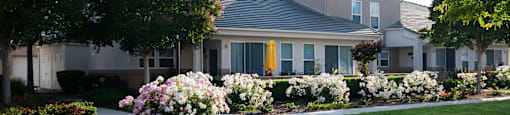 A residential area with houses and well-maintained gardens.