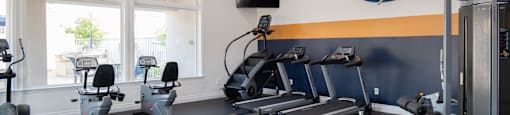 A gym with treadmills, exercise bikes, and other equipment.