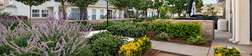 A garden with a pathway and yellow flowers.