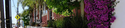 Shaded walkway between units