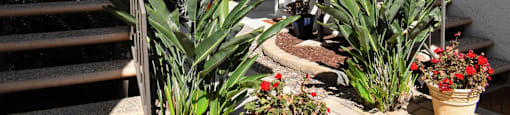 walkway between units with colorful foliage