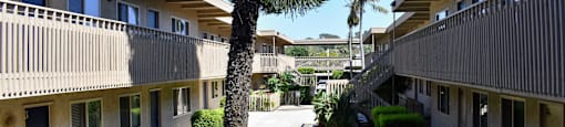 Elevated view into courtyard with tropical landscaping