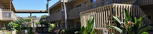 View of inside of community with tropical landscaping