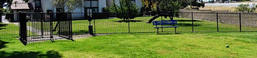 Courtyard and fenced in dog park, lush green grass, buildings in background