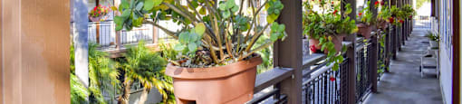 View of potted plants on railing with tropical landscaping in background