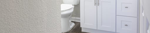 a bathroom with a toilet and a sink and a mirror