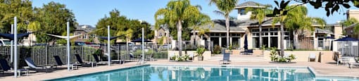 Huge pool and poolside lounge areas