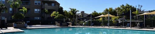 community pool with buildings in background