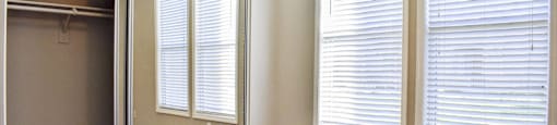 view of mirrored closet doors in a bedroom with well lit windows and carpet flooring