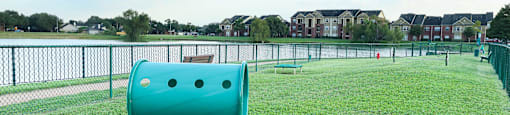 a dog park with a lake in the background