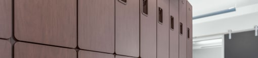 Package Concierge Locker System at Solace at Ballpark Village, Goodyear, AZ