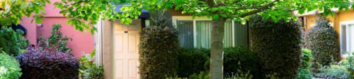 a house with a tree in front of it
