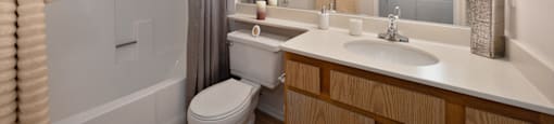 a bathroom with a sink and a toilet and a shower