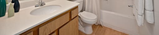a bathroom with a sink and a toilet and a shower