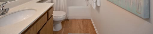 a bathroom with a sink and a toilet and a shower