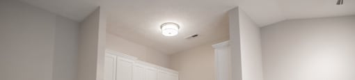 Vaulted Ceilings