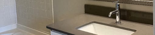 Sycamore Master Bath with Soaking Tub