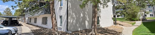 A white building with a tree in front of it.
