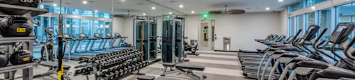 fitness center at Ladera