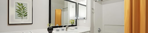 A bathroom with a white countertop and a mirror above it.