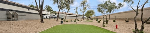 dog park at 2150