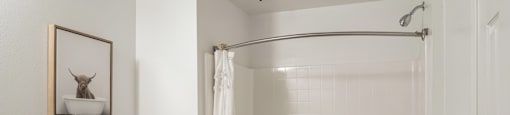 a bathroom with a shower and a toilet and a sink