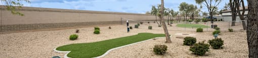 dog park at 2150