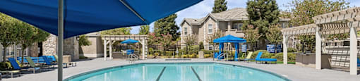 our apartments have a swimming pool with chairs and umbrellas