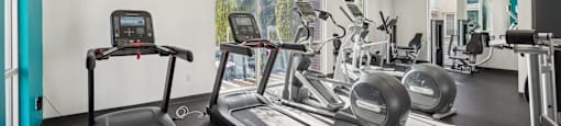 A fitness center with treadmills, elliptical machines, and other exercise equipment.