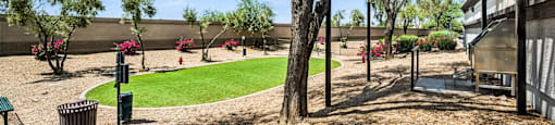 dog park at 2150