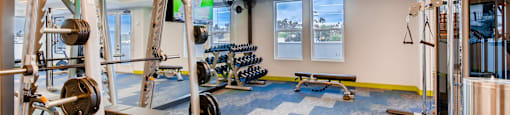 State of The Art Gym at The Rylan Apartments