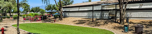 dog park at 2150