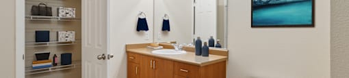 Bathroom counter at Waterstone Apartments