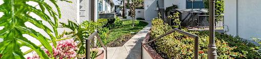 Pathway at Hills at Hacienda Heights