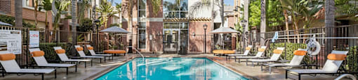 A large swimming pool surrounded by palm trees and lounge chairs.