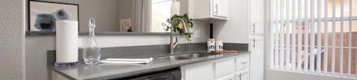 Steel Quartz Countertops at Biscayne Bay Apartments, Arizona