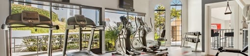 Fitness Center with TV at Canyon Villa Apartment Homes