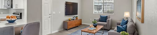 A living room with a grey couch, a coffee table, and a television.
