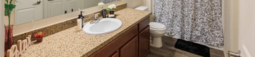 Furnished Bathroom at North Peak Apartments